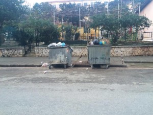 Qytetari ankohet : Kazanët e mbeturinave janë të pamjaftueshëm