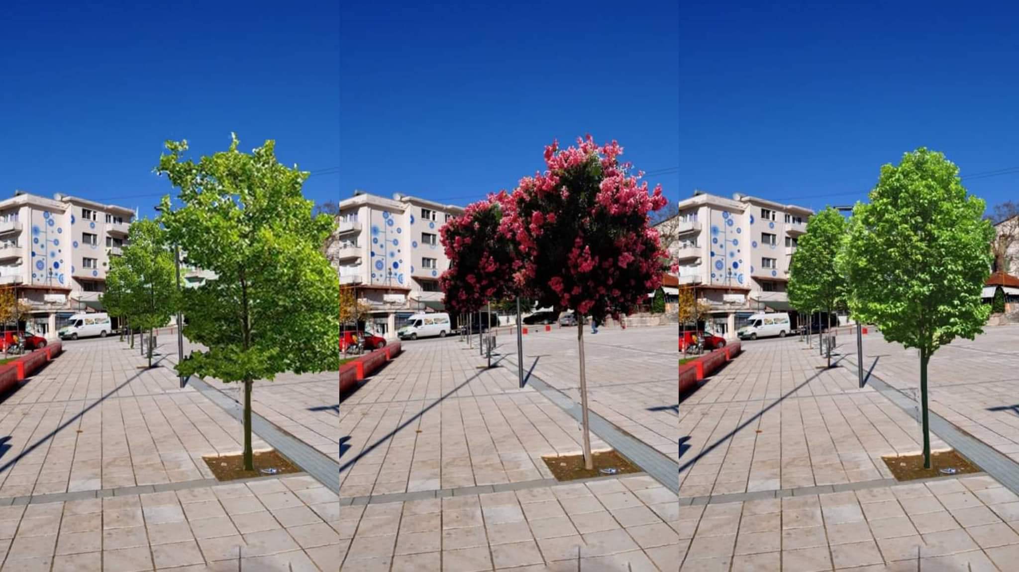 Bashkia Delvinë kërkon mendimin qytetar për zëvendësimin e pemëve të mbjella