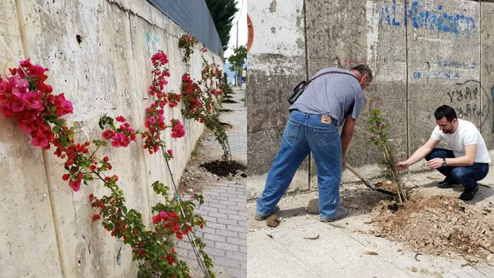 Nisma &#8220;Dhuro një Lule për Sarandën&#8221; i rikthehet aksionit të mbjelljes së luleve