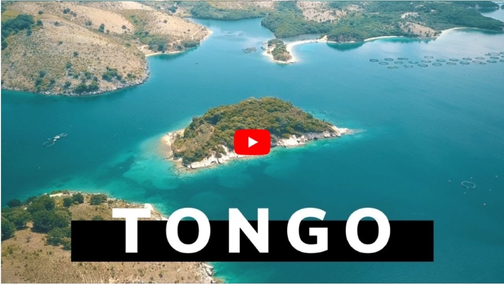 VIDEO/ Ishulli Tongo dhe Kepi i Stillos