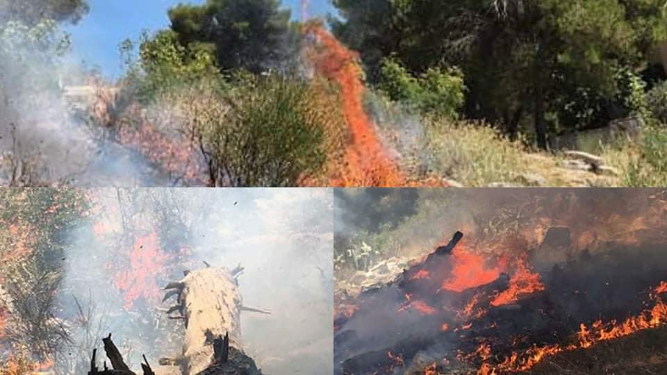 3 vatra zjarresh ditën e sotme në Kurorën e Gjelbër të Sarandës