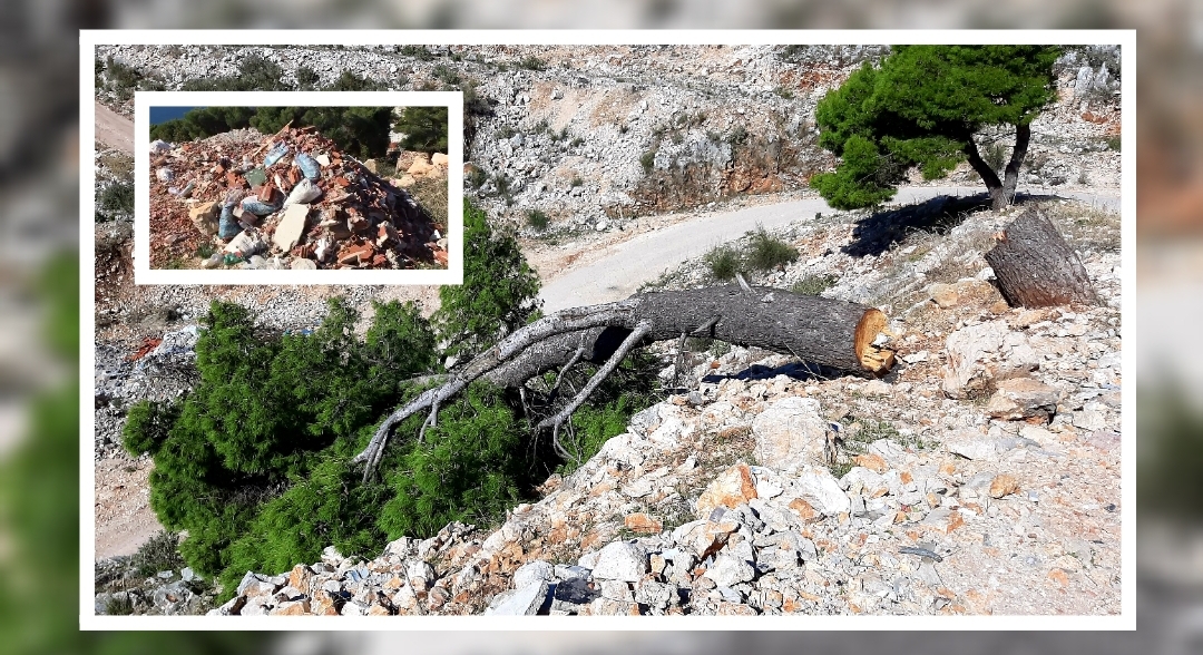 Zhduken 26.215 pemët e mbjella në Kurorën e Gjelbër të Sarandës