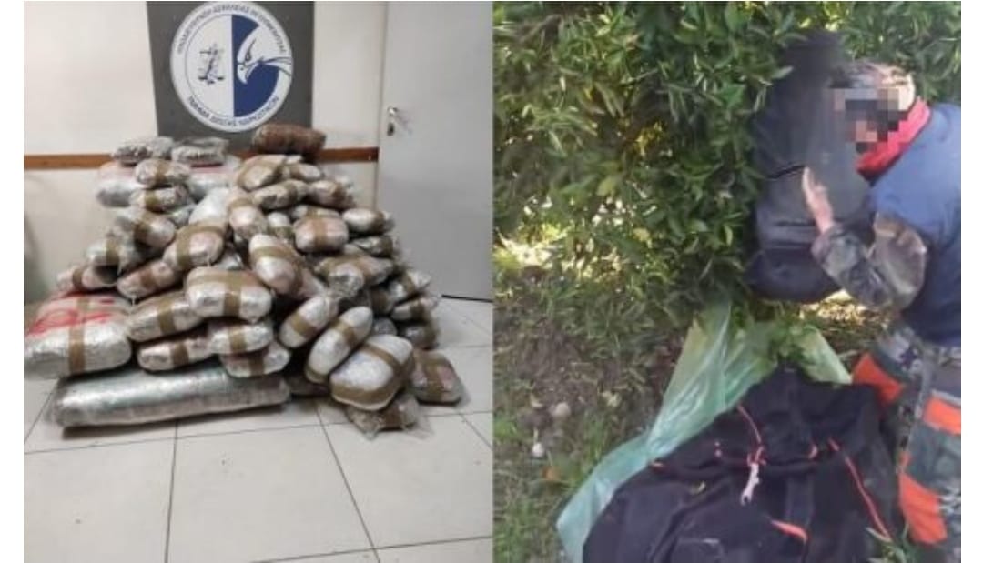 Policia greke kap në kufi 167 kg kanabis, arrestohet 1 shqiptar