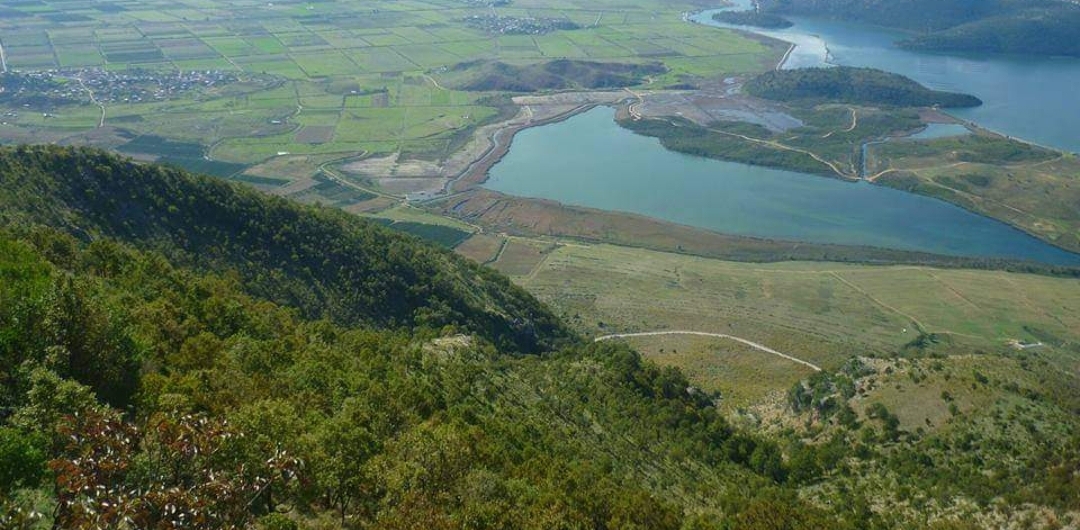 Kanabizuan pyllin në Qafën e Soronesë, Policia arreston 2 persona