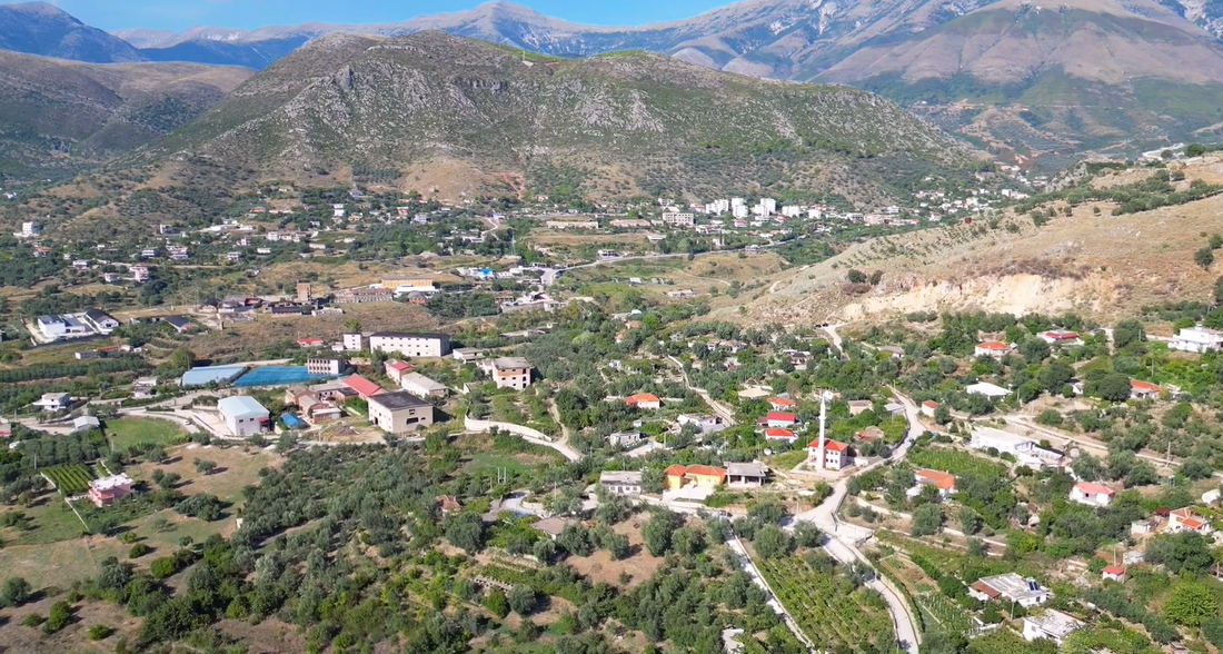 Kërkohet person për mirëmbajtje dhe punë në shtëpi në fshat të Delvinës