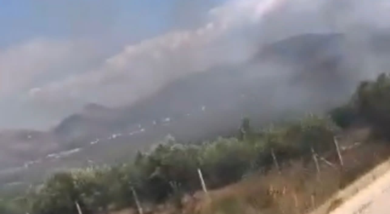 Zjarr në një ullishte në Bajkaj, Delvinë &#8211; VIDEO