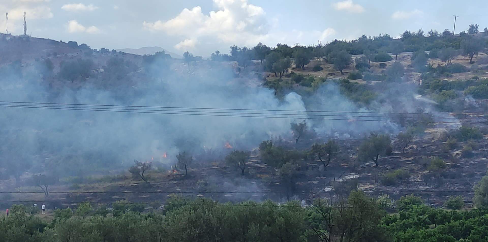 Zjarr në ullishtet e Ksamilit, në zonën e Parkut të Butrintit &#8211; VIDEO