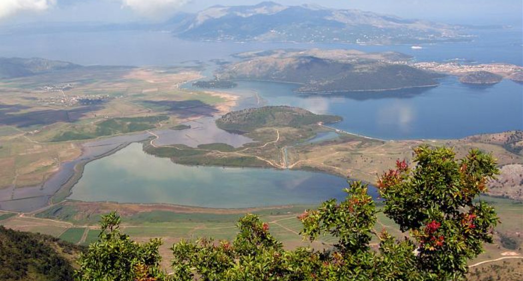 Gjendet një pjesë trupi e një njeriu në Xarrë