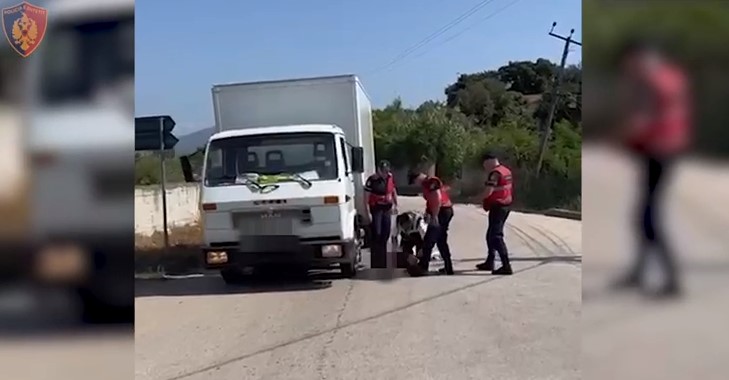 Kishte ngarkuar në kamion 33 emigrantë, prangoset nga Policia 38-vjeçari &#8211; VIDEO