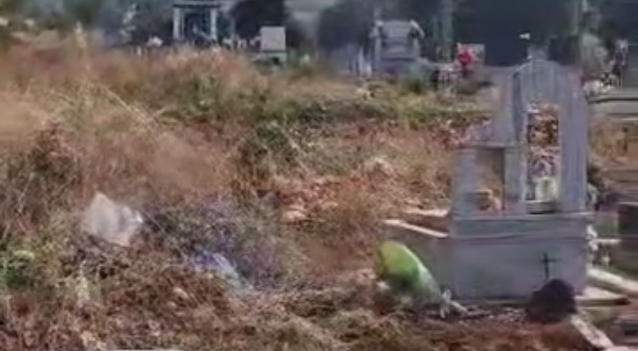 Qytetarja denoncon me video: Varrezat e Sarandës nuk janë pastruar nga ferrat, ujë s&#8217;ka