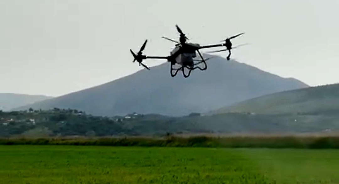 Në Sarandë fillon spërkatja e misrit me dron &#8211; VIDEO
