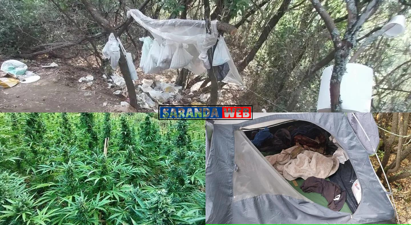 Policia greke zbulon kamp dhe parcelë me 2000 rrënjë kanabisi në Palamba