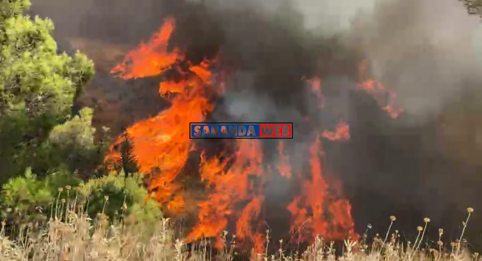 Orë ankthi në Delvinë, Vllahat dhe Kostar &#8211; VIDEO