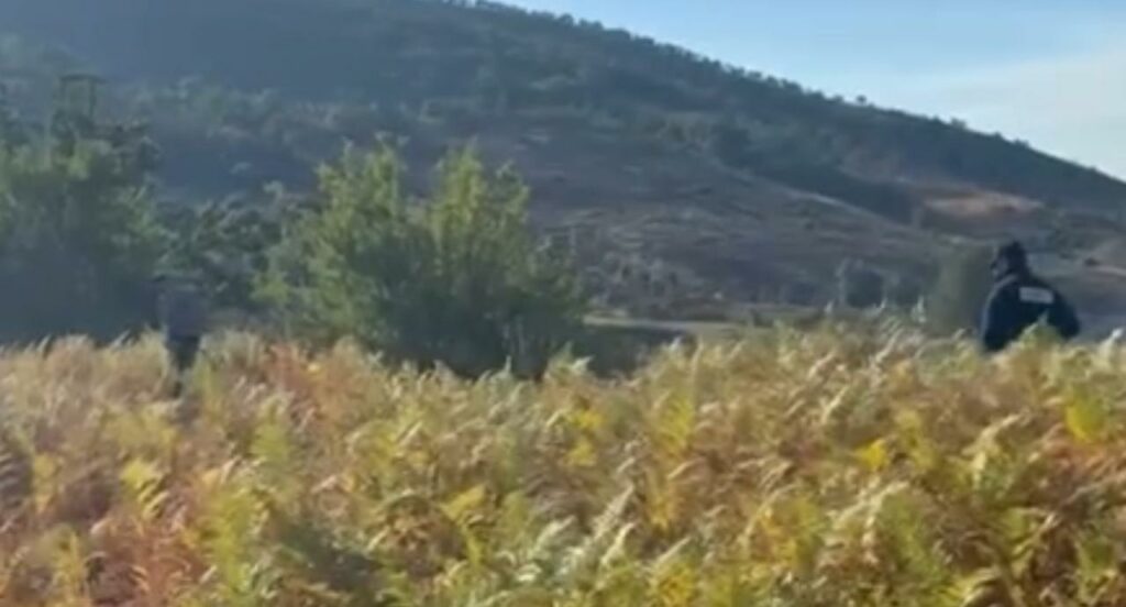 Arrestohet zjarrvënësi, ishte në arrest shtëpie, doli dhe ndezi zjarrin