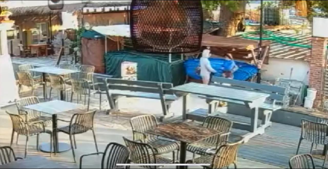Vidhnin në Ksamil: arrestohet 21-vjeçarja italiane, procedohen 2 bashkëpunëtoret e saj &#8211; VIDEO