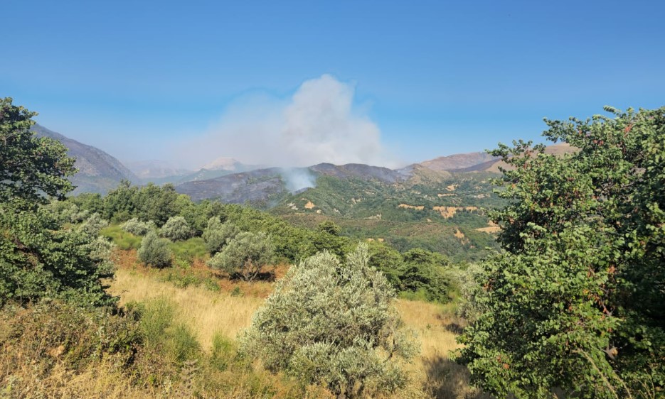 LAJM I MIRË &#8211; Zjarri në Syrin e Kaltër është arritur të fiket