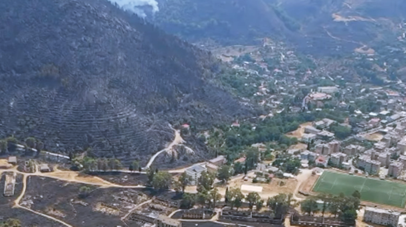 Plani i ri i qeverisë: Rrjet kombëtar fidanishtesh për rritjen e pyjeve dhe hapësirave të gjelbra