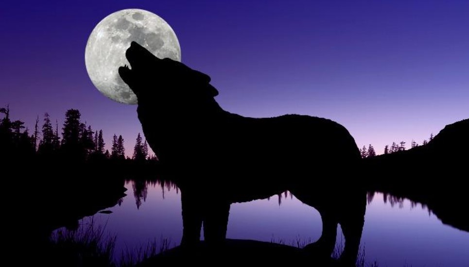 Hëna e Ujkut – Viti i Ri nis me spektakël qiellor, shenjat e horoskopit që preken nga ky fenomen